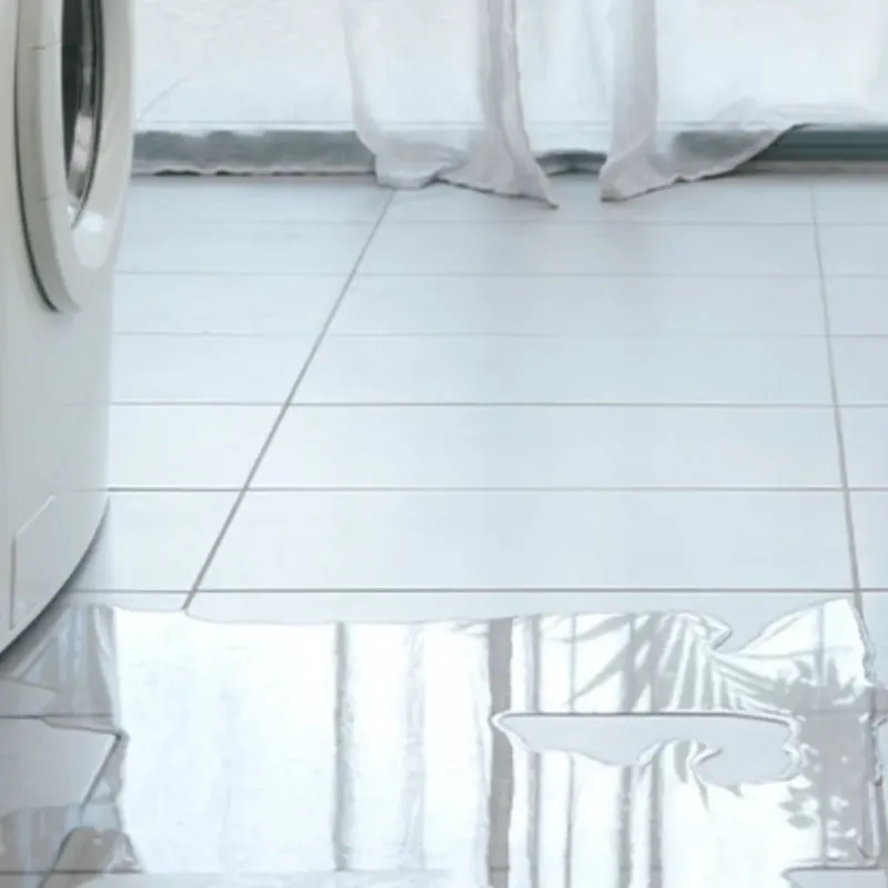 Appliance Leak Cleanup in Decatur County, GA