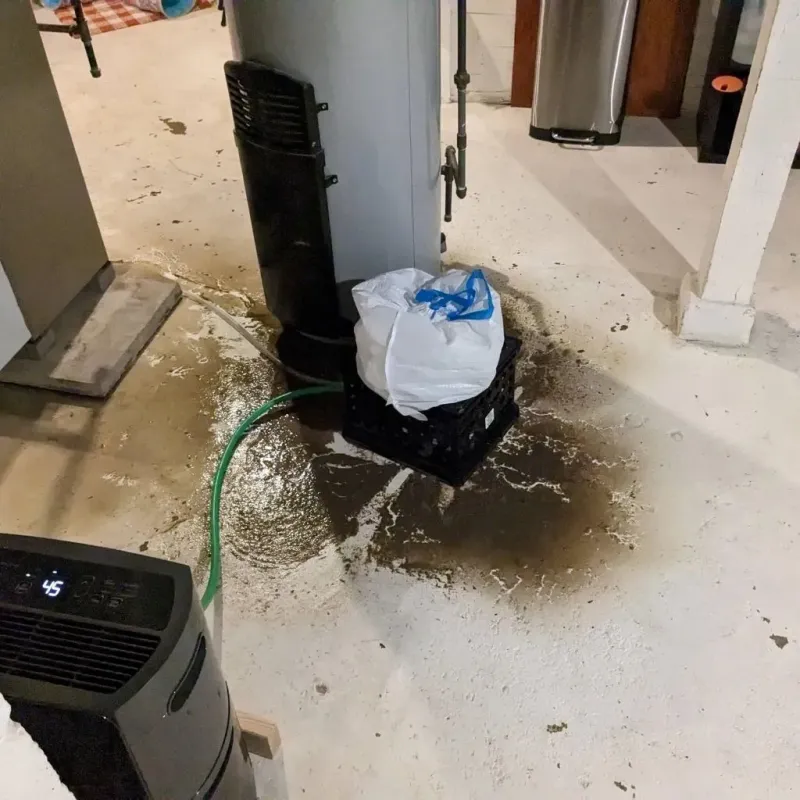 Sewage Backup Cleanup Service in Decatur County, GA